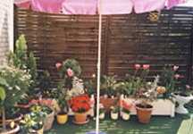 kreatives aus 2000 und einer Nacht